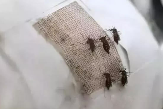 20190930140824_530 20190930140824_530